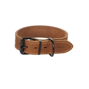 Hundehalsband
