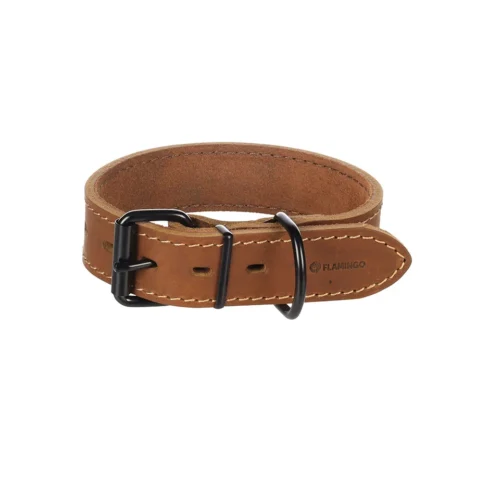 Hundehalsband
