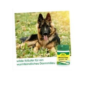 cdprotect-dog-18-kapseln