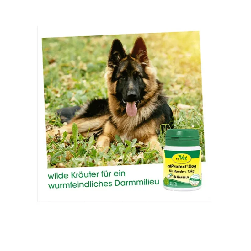 cdprotect-dog-18-kapseln