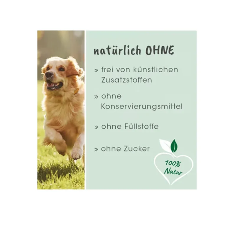 gastric-protection-100-g