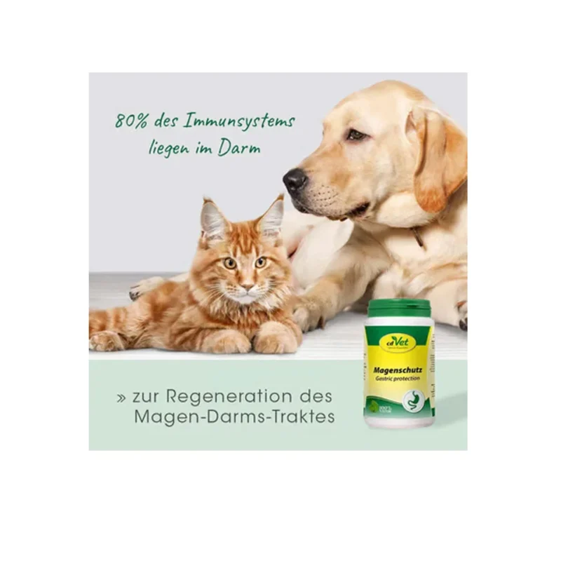 gastric-protection-100-g