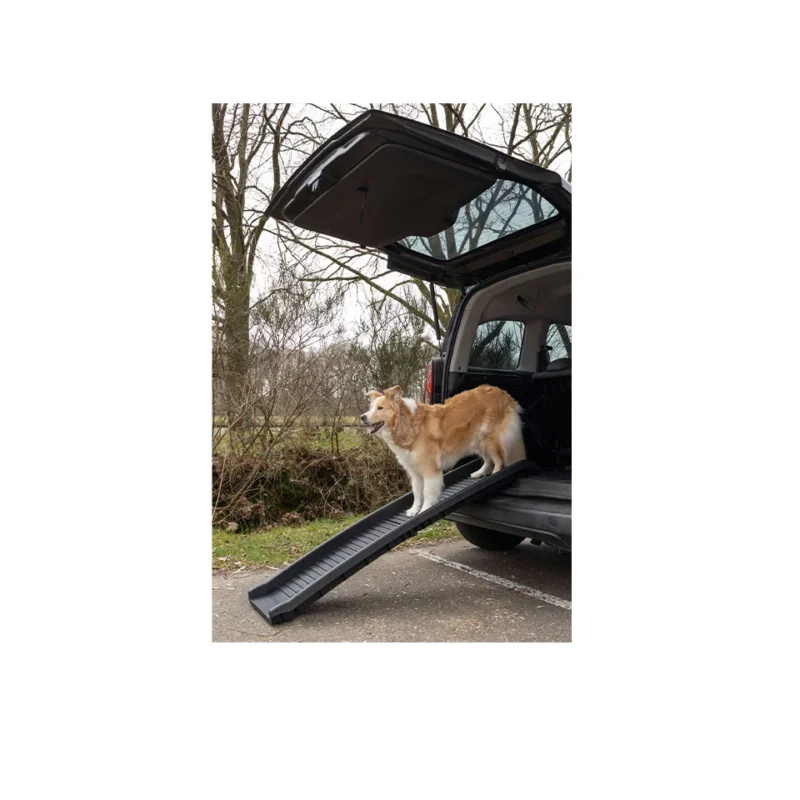 dog-ramp-zenna-black