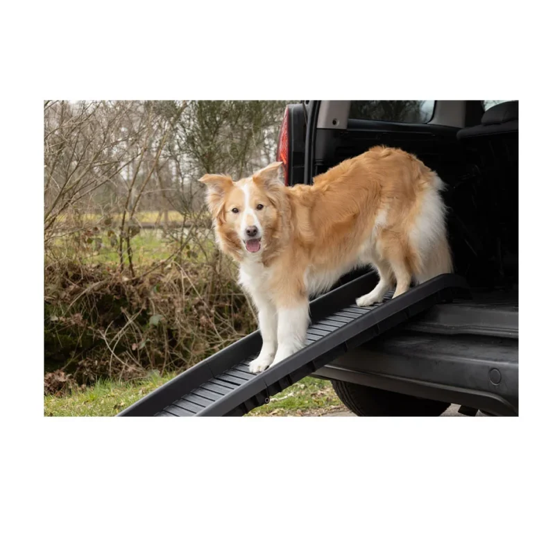 dog-ramp-zenna-black