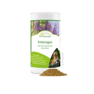 enterogan-dog-100g