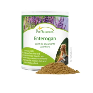 enterogan-hund-darmflora