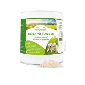 lecithin-with-silica-500g
