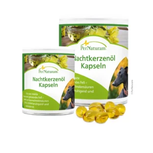 nachtkerzenol-kapseln-100stk