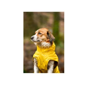 raincoat-ciro-yellow