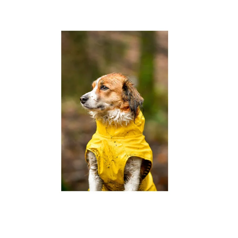 raincoat-ciro-yellow