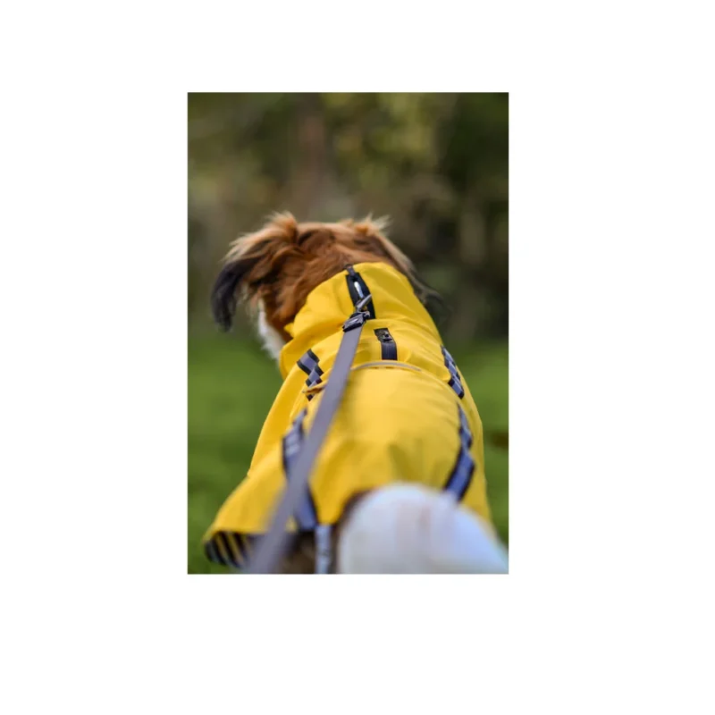 raincoat-ciro-yellow