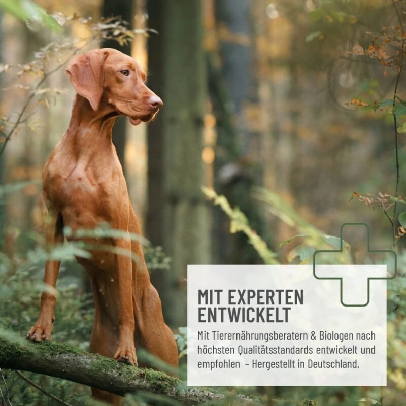REAVET Leinöl naturrein 1 L