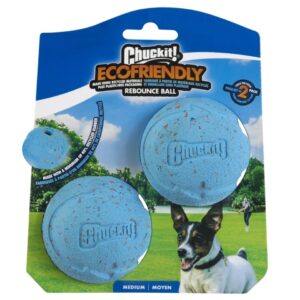 Chuckit! Rebounce Fetch Ball M (2-pack) Chuckit! Hundespielzeug Rebounce Fetch Ball M (2er-Pack)