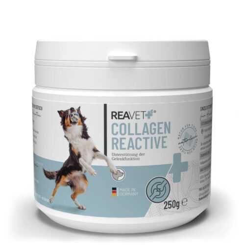 Collagen Reactive 250g REAVET Collagen Reactive