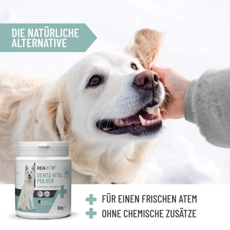 Denta Vital Pulver 150g 5 REAVET Denta Vital Pulver 150 g