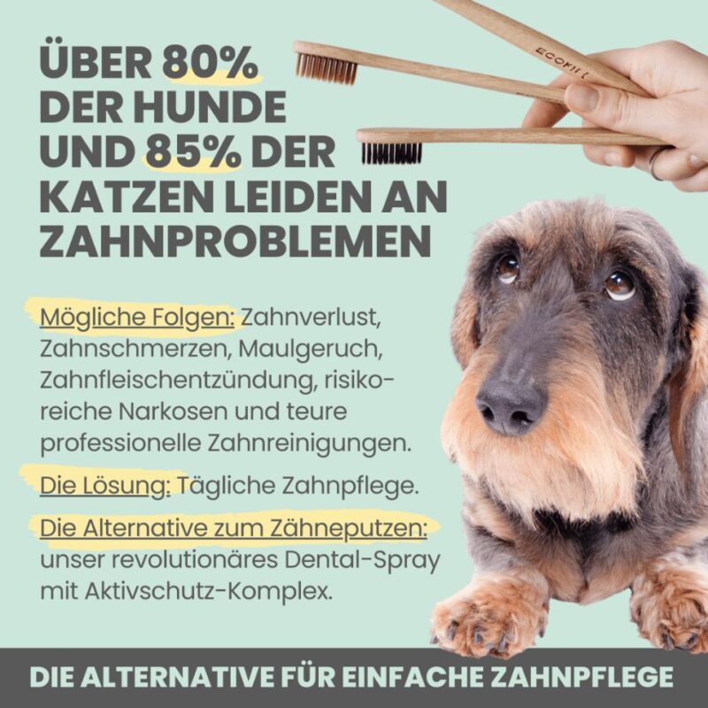 noms+ Dentalspray – Natürliche Zahnpflege