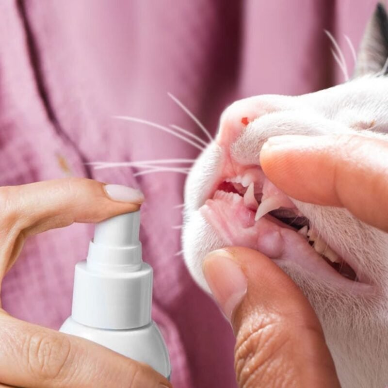 Tierliebhaber Katzen Dentalspray