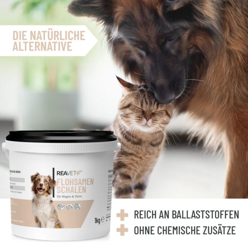 Flohsamenschalen 1kg 2 REAVET Flohsamenschalen 1 kg