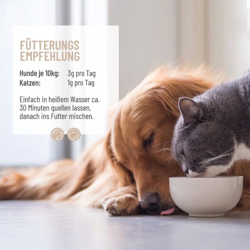 Flohsamenschalen 3 REAVET Flohsamenschalen 1 kg