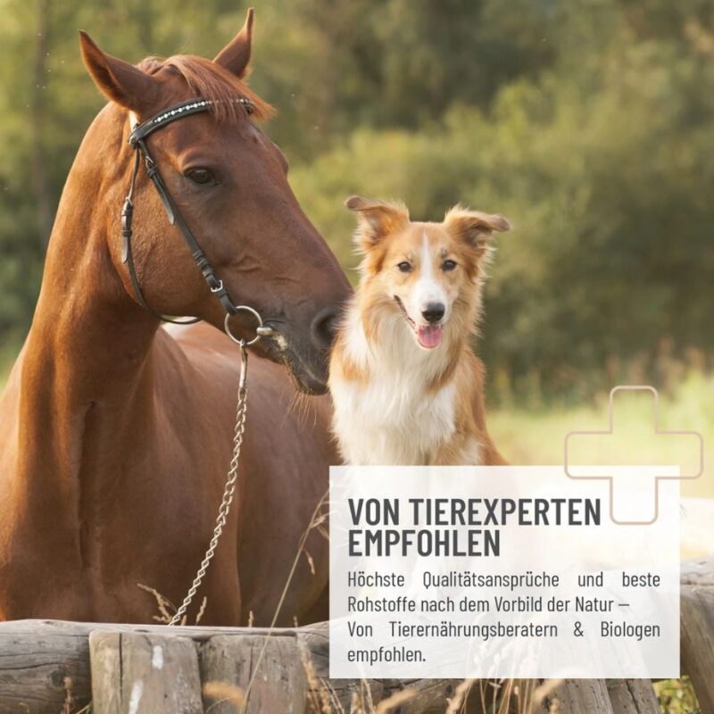 Flohsamenschalen 3kg 3 REAVET Flohsamenschalen 3 kg