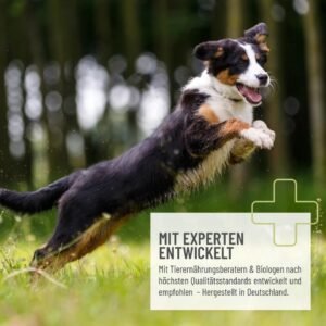 REAVET Leinöl naturrein 1 L