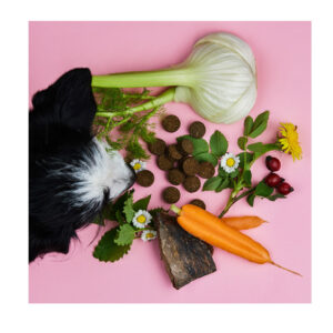 Tierliebhaber Gras & Kotfresser Drops