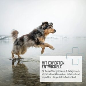 Grünlippmuschel Kapseln 1 REAVET Grünlippmuschel Kapseln 300 Stk.