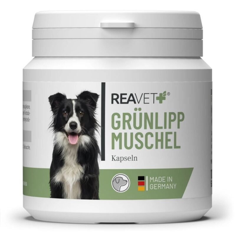 Grünlippmuschel Kapseln 100 Stk REAVET Grünlippmuschel Kapseln