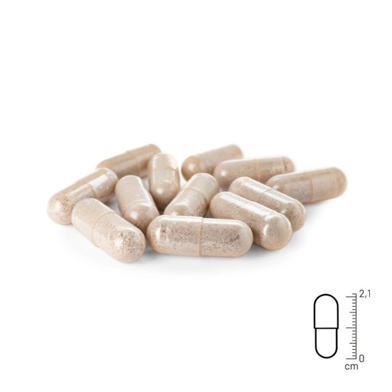 Grünlippmuschel Kapseln REAVET Grünlippmuschel Kapseln