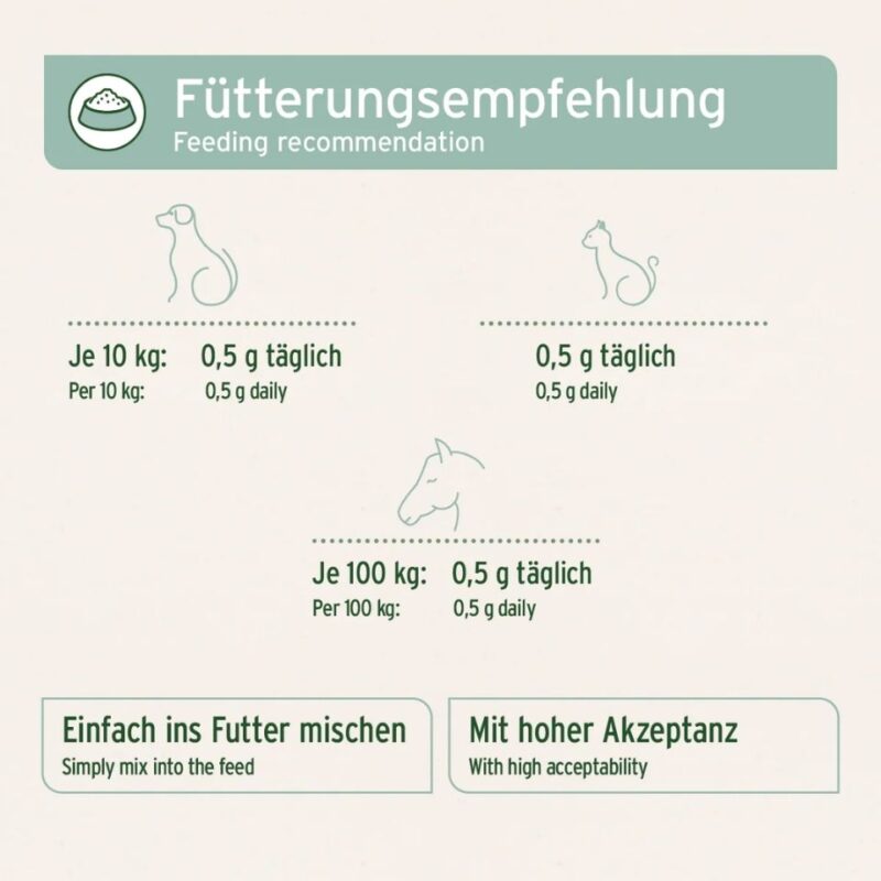 Grünlippmuschel Pulver 5 AniForte Grünlippmuschel Pulver 1 kg