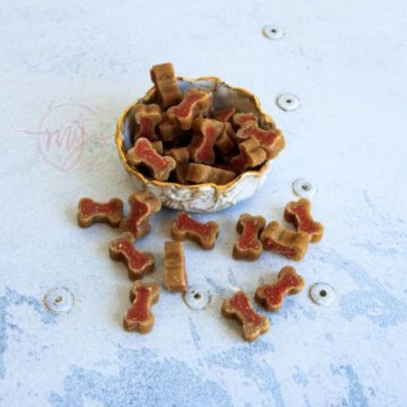 Hundesnack Lachs