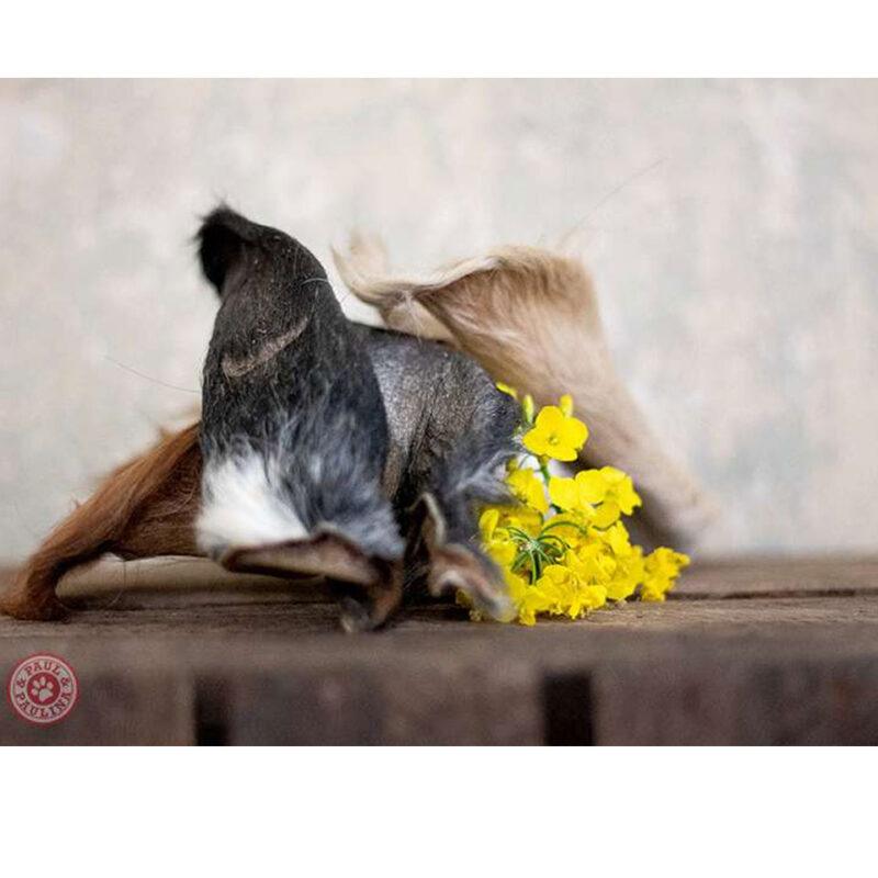 Hundesnacks Pferdeohren mit Fell
