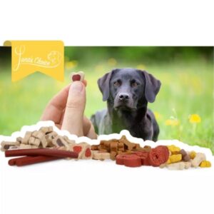 Trainer Mix Lachsbällchen 2 Luna's Choice Hundesnacks Trainer Mix Lachsbällchen 500 g