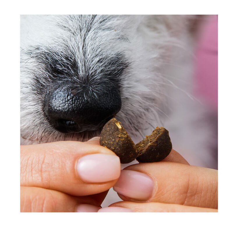 Hundesnack Z-Snack