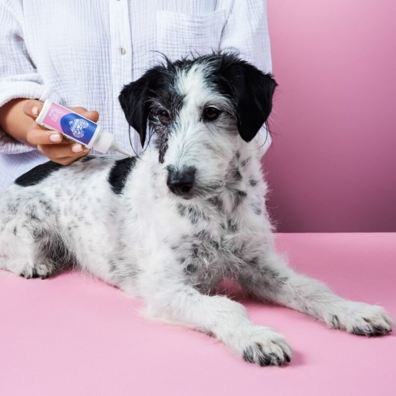 Tierliebhaber Z-Spot Zeckenschutz für Hunde