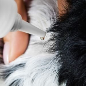 Tierliebhaber Z-Spot Zeckenschutz für Katzen