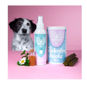 Zahnpflege Bundle